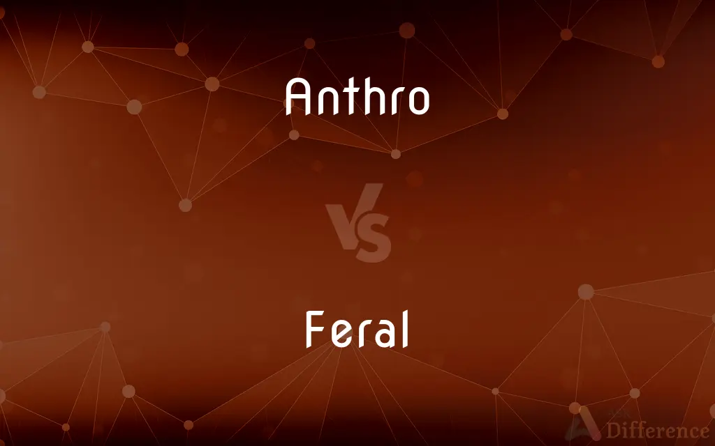 Anthro vs. Feral — What's the Difference?