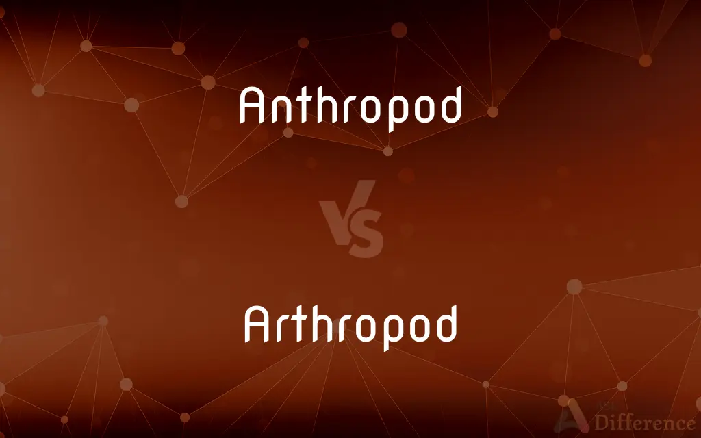 Anthropod vs. Arthropod — What's the Difference?