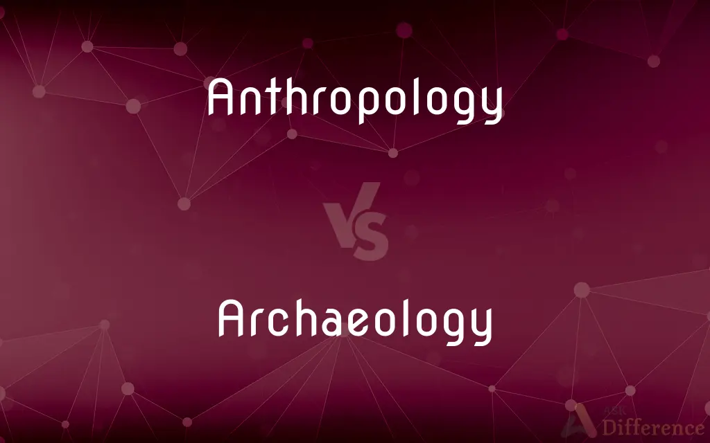 Anthropology vs. Archaeology — What's the Difference?
