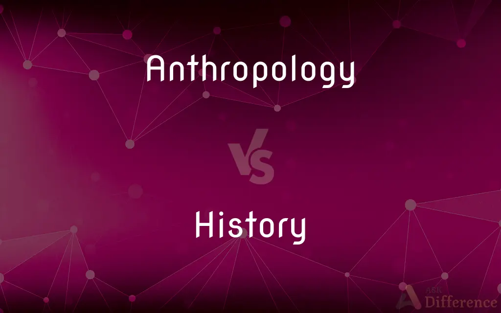 Anthropology vs. History — What's the Difference?