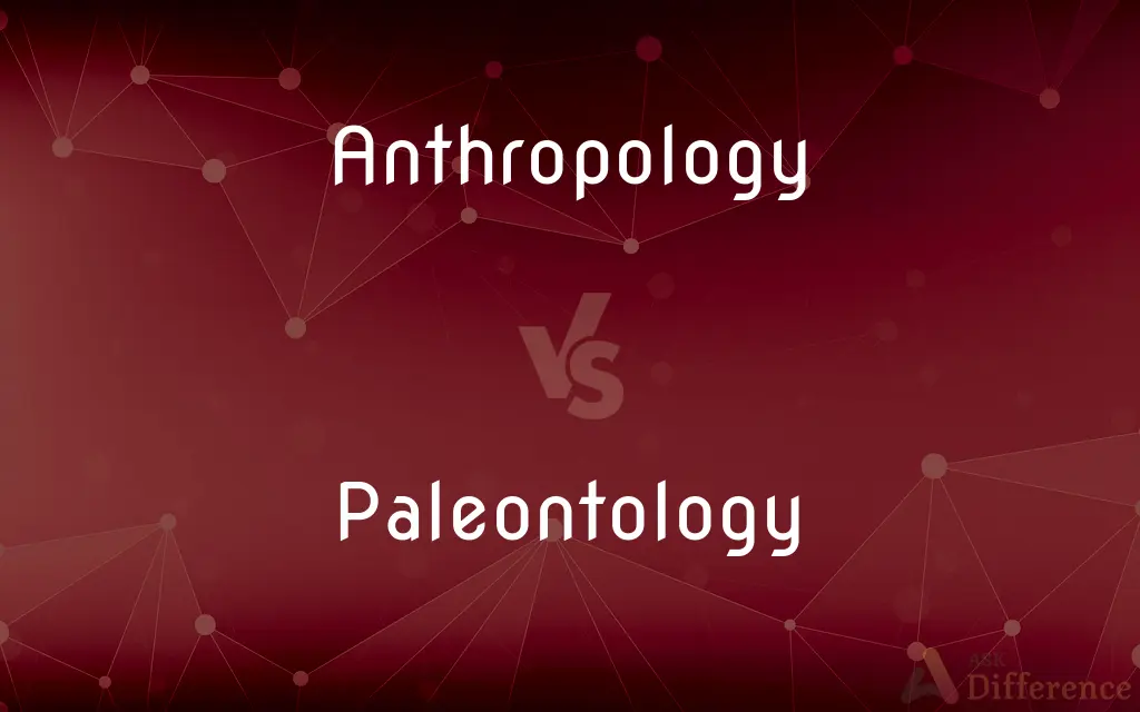 Anthropology vs. Paleontology — What's the Difference?