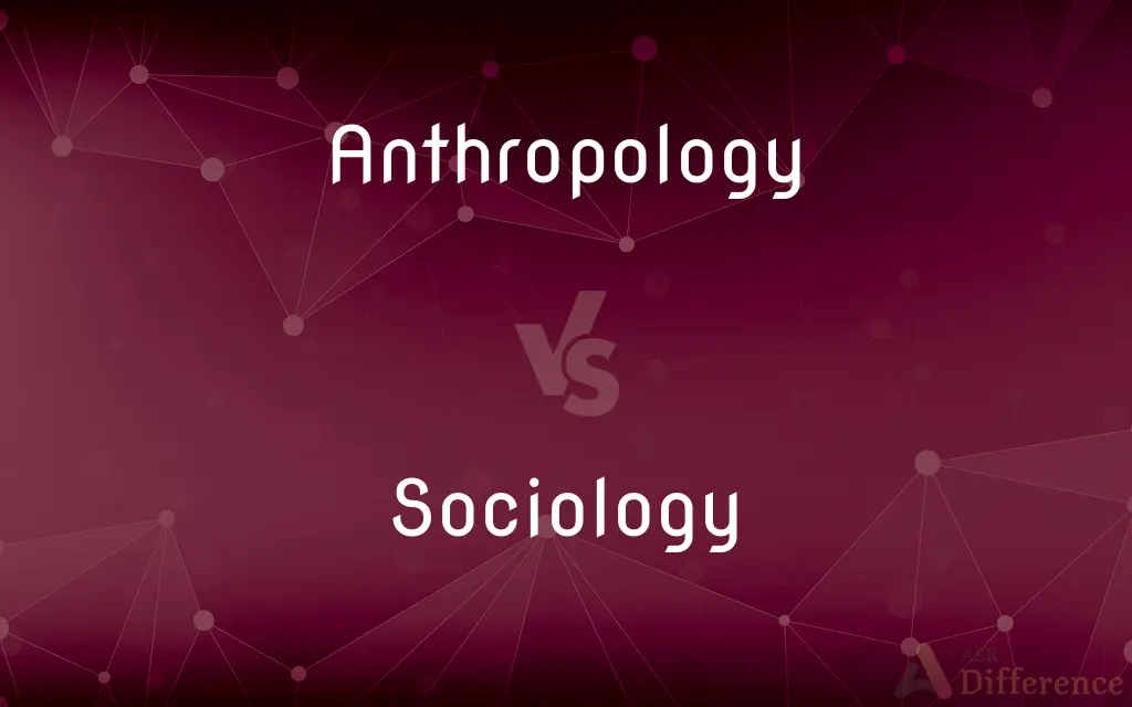 Anthropology vs. Sociology — What's the Difference?
