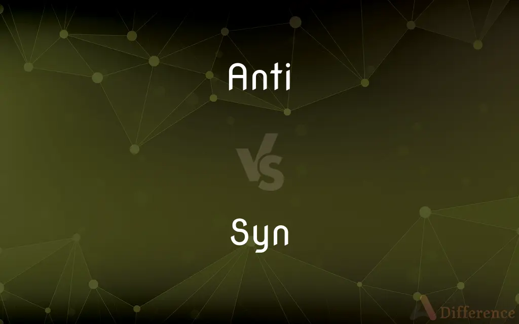 Anti vs. Syn — What's the Difference?