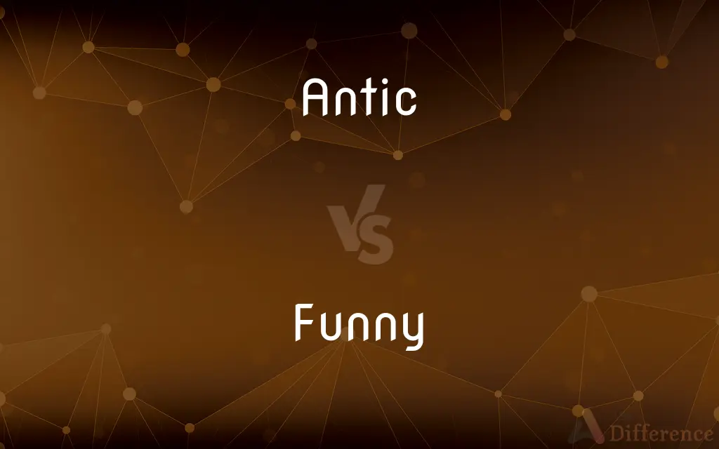 Antic vs. Funny — What's the Difference?
