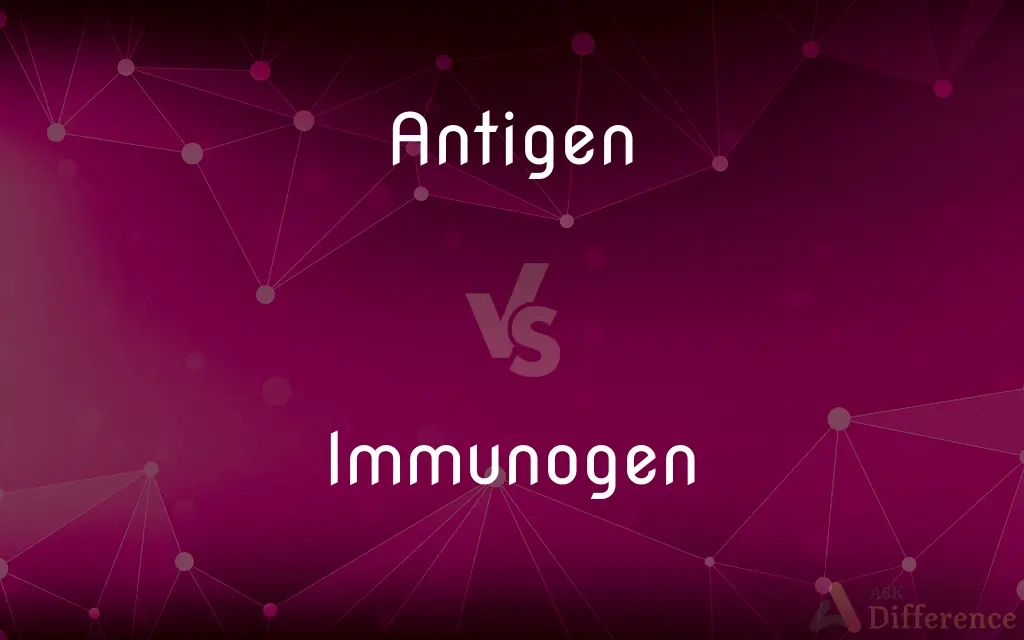 Antigen vs. Immunogen — What's the Difference?