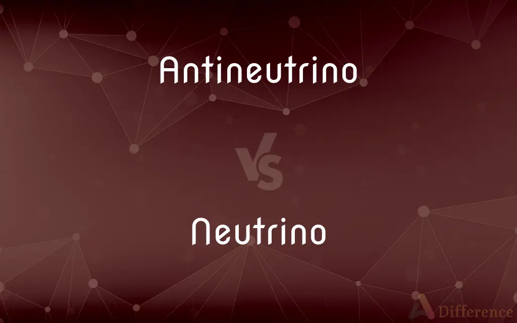 Antineutrino vs. Neutrino — What's the Difference?