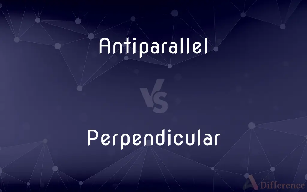 Antiparallel vs. Perpendicular — What's the Difference?