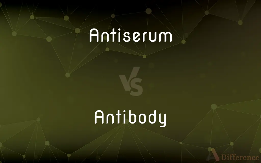 Antiserum vs. Antibody — What's the Difference?