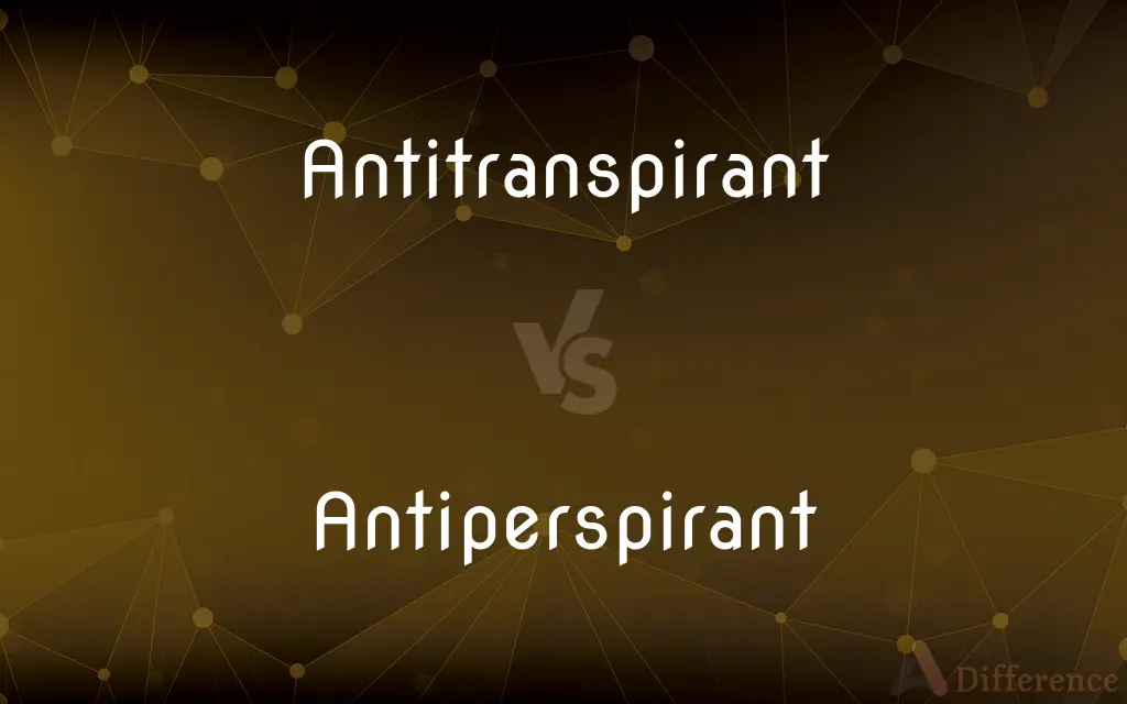Antitranspirant vs. Antiperspirant — What's the Difference?
