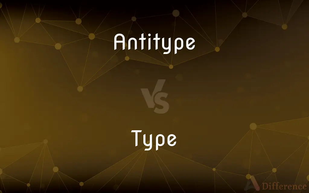 Antitype vs. Type — What's the Difference?