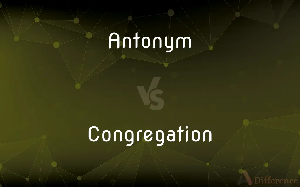 Antonym vs. Congregation — What's the Difference?
