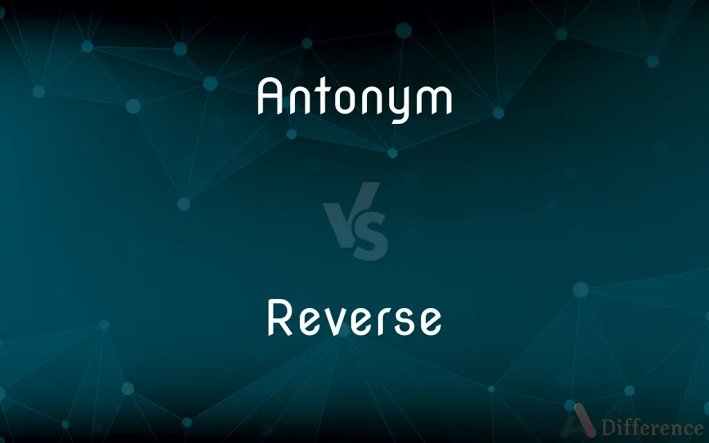Antonym vs. Reverse — What's the Difference?