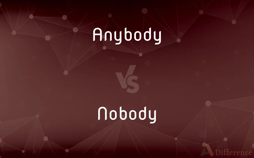 Anybody vs. Nobody — What's the Difference?