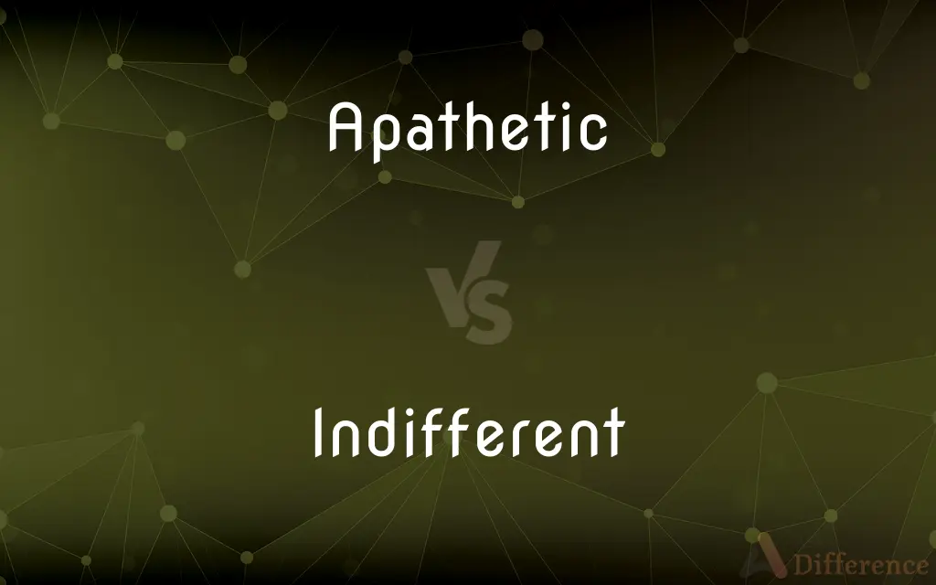 Apathetic vs. Indifferent — What's the Difference?