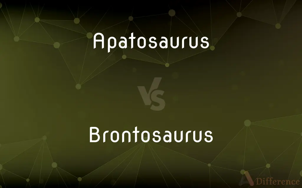 Apatosaurus vs. Brontosaurus — What's the Difference?