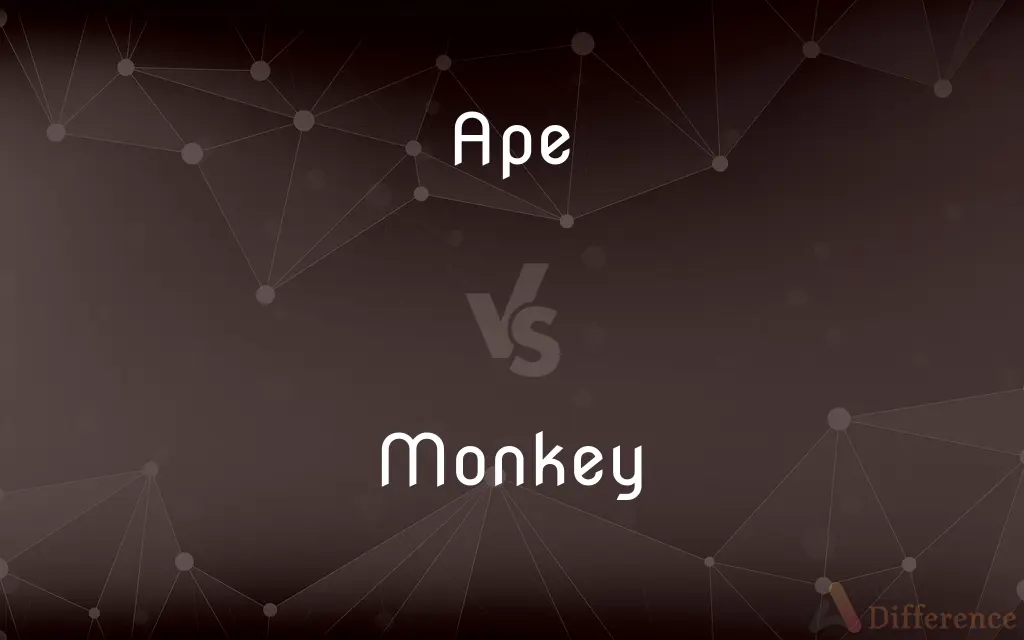 Ape vs. Monkey — What's the Difference?