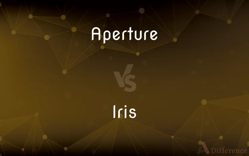 Aperture vs. Iris — What's the Difference?
