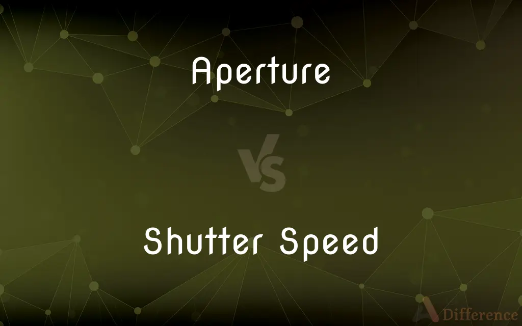 Aperture vs. Shutter Speed — What's the Difference?