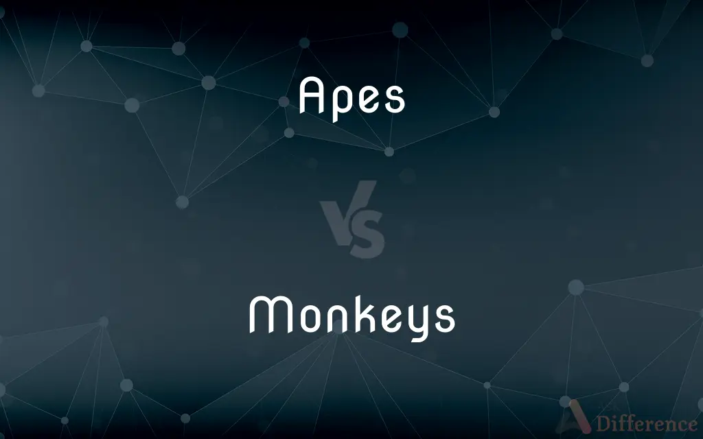 Apes vs. Monkeys — What's the Difference?