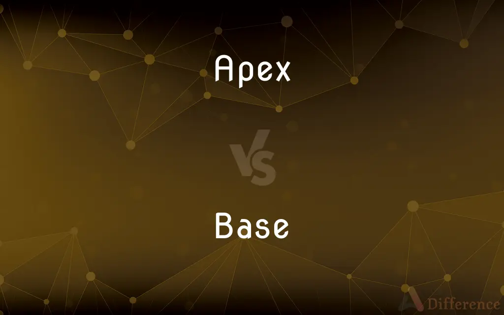 Apex vs. Base — What's the Difference?