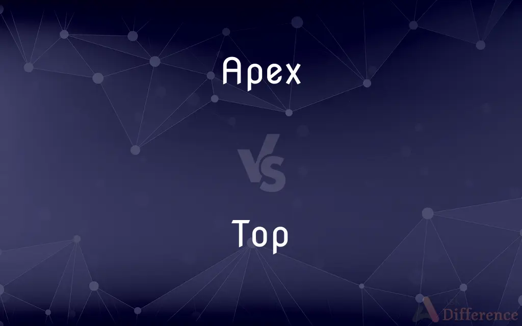 Apex vs. Top — What's the Difference?