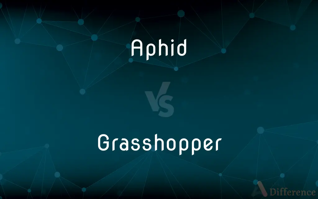 Aphid vs. Grasshopper — What's the Difference?