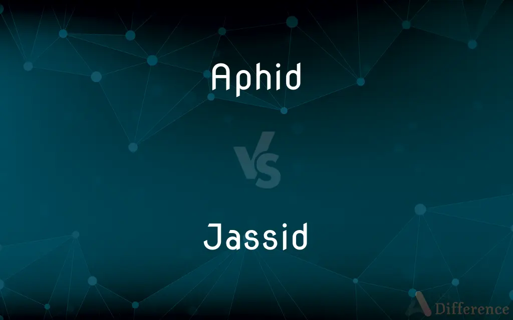 Aphid vs. Jassid — What's the Difference?