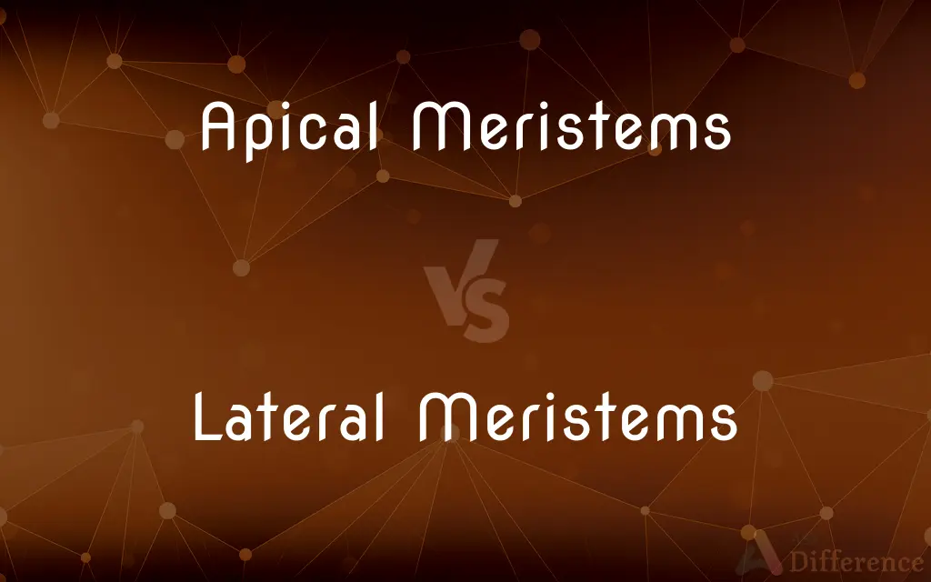 Apical Meristems vs. Lateral Meristems — What's the Difference?