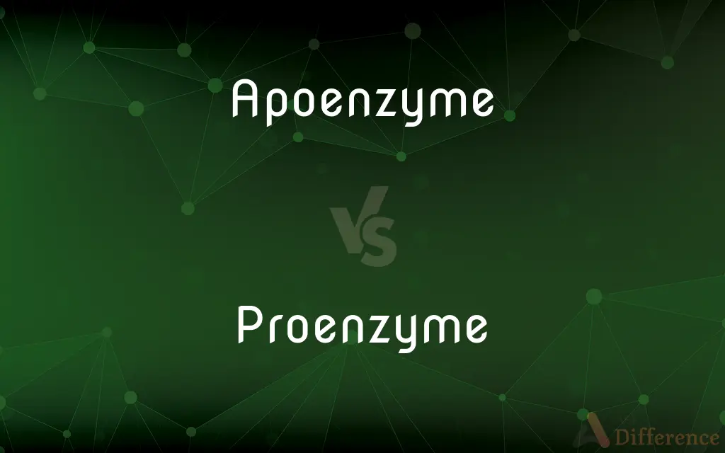 Apoenzyme vs. Proenzyme — What's the Difference?