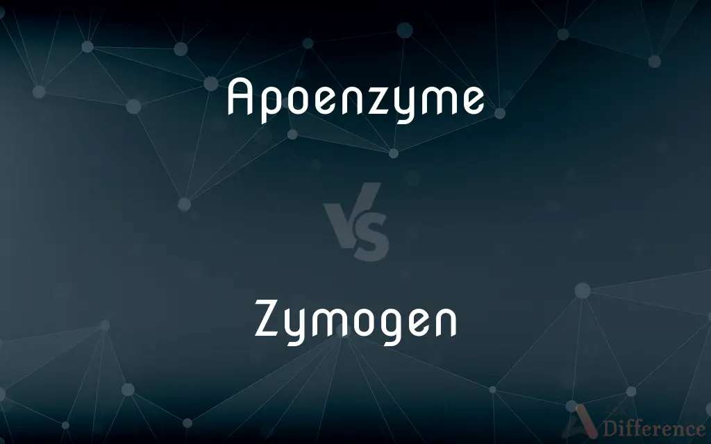 Apoenzyme vs. Zymogen — What's the Difference?