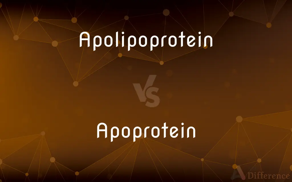 Apolipoprotein vs. Apoprotein — What's the Difference?