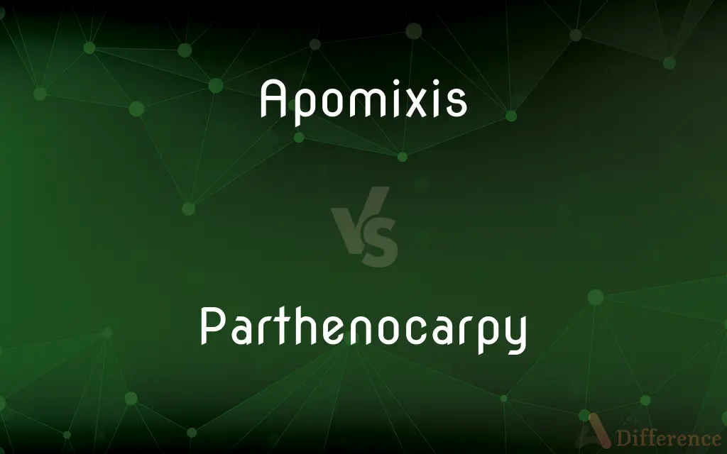 Apomixis vs. Parthenocarpy — What's the Difference?