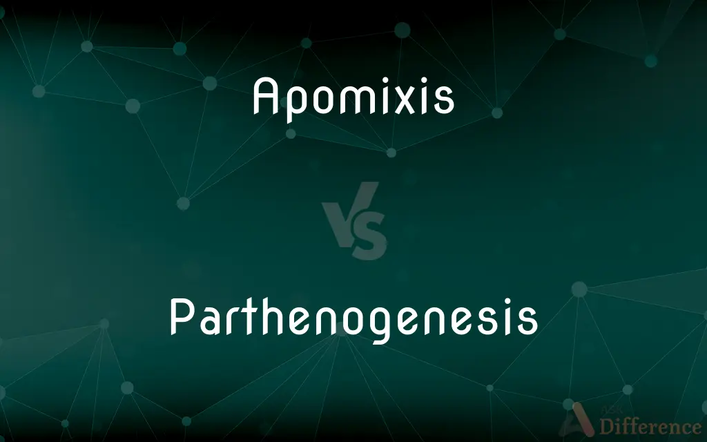Apomixis vs. Parthenogenesis — What's the Difference?