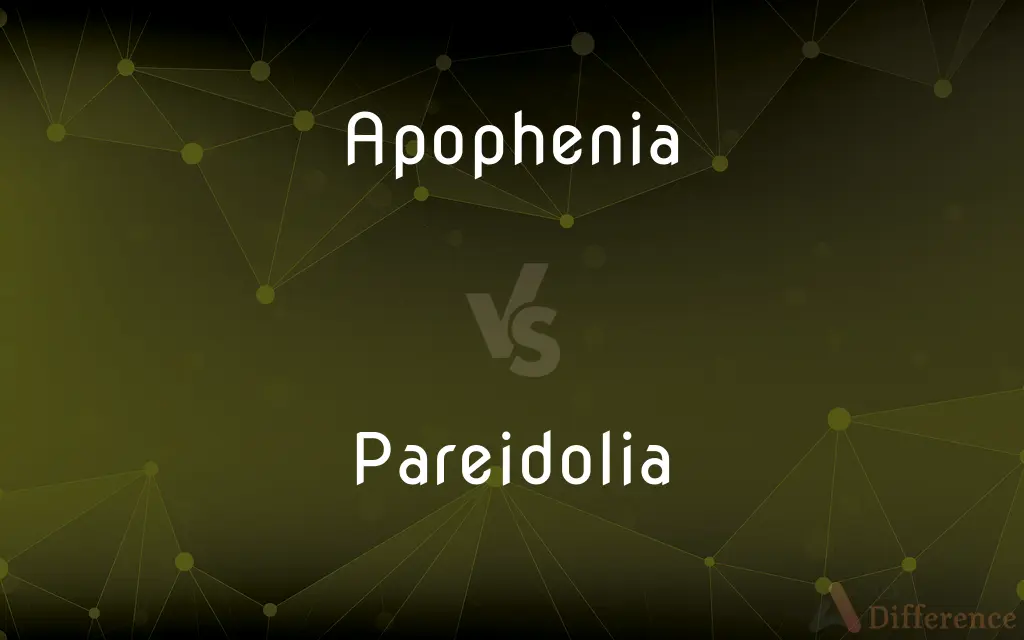 Apophenia vs. Pareidolia — What's the Difference?
