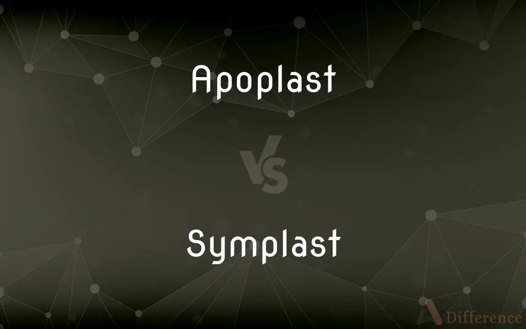 Apoplast vs. Symplast — What's the Difference?