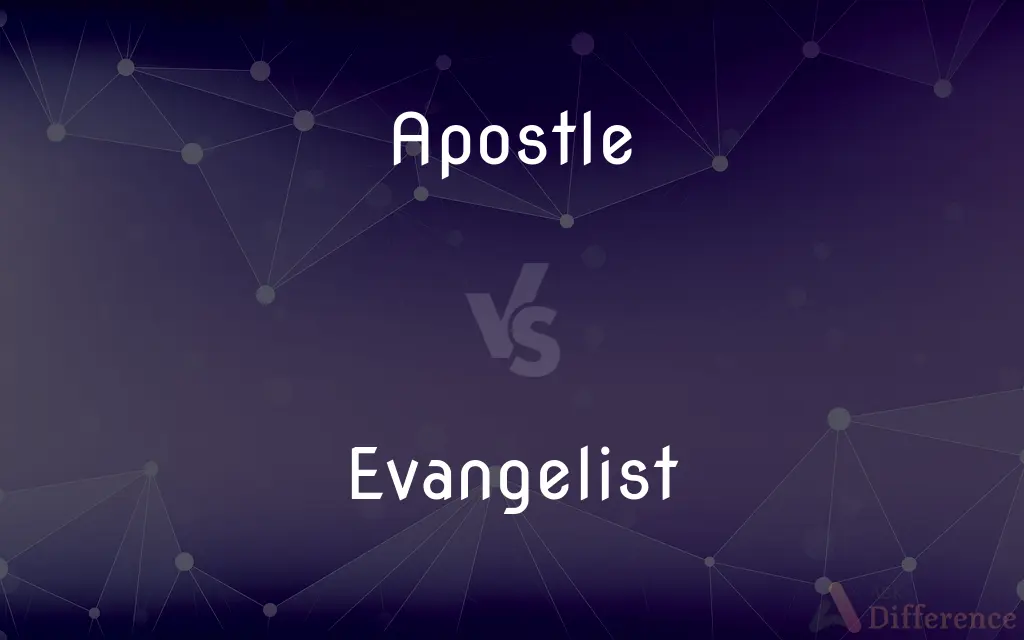 Apostle vs. Evangelist — What's the Difference?