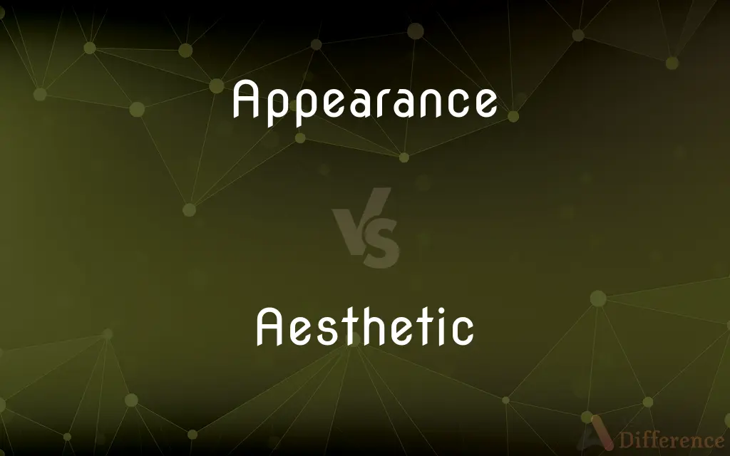 Appearance vs. Aesthetic — What's the Difference?