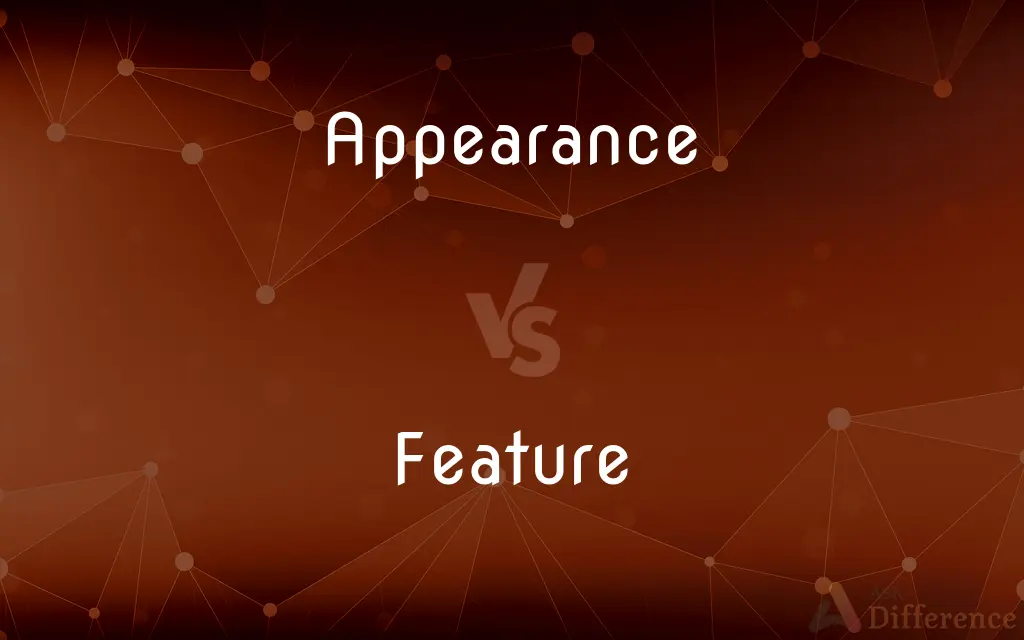 Appearance vs. Feature — What's the Difference?