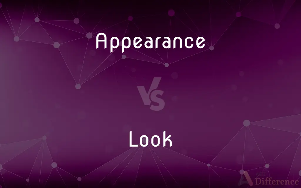 Appearance vs. Look — What's the Difference?