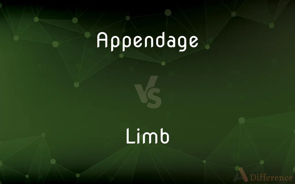 Appendage vs. Limb — What's the Difference?
