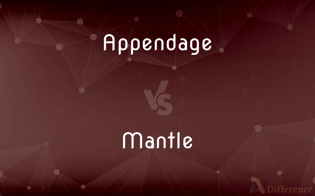 Appendage vs. Mantle — What's the Difference?