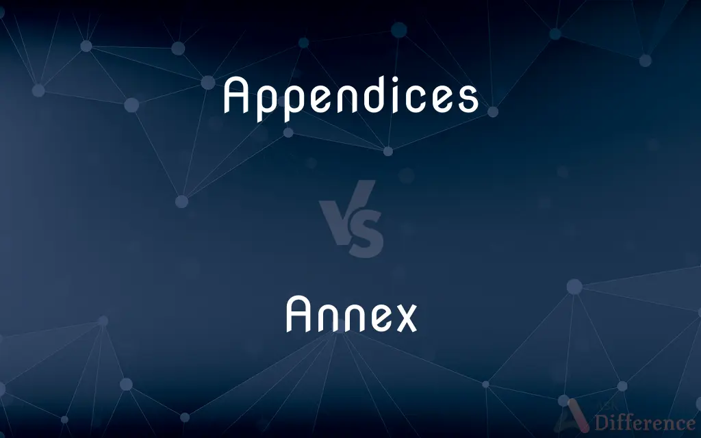 Appendices vs. Annex — What's the Difference?
