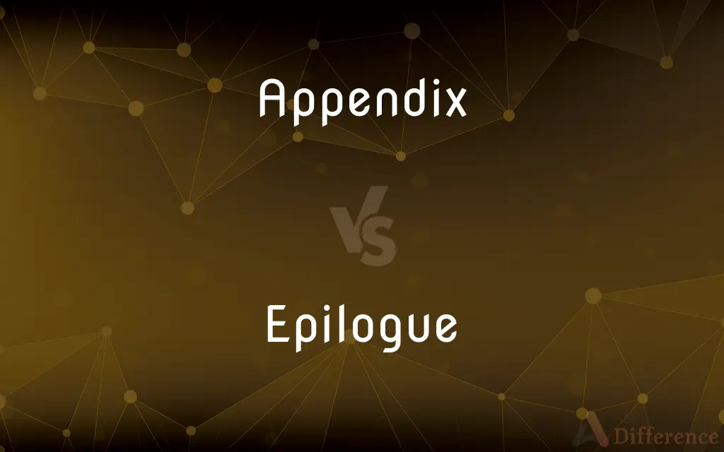 Appendix vs. Epilogue — What's the Difference?