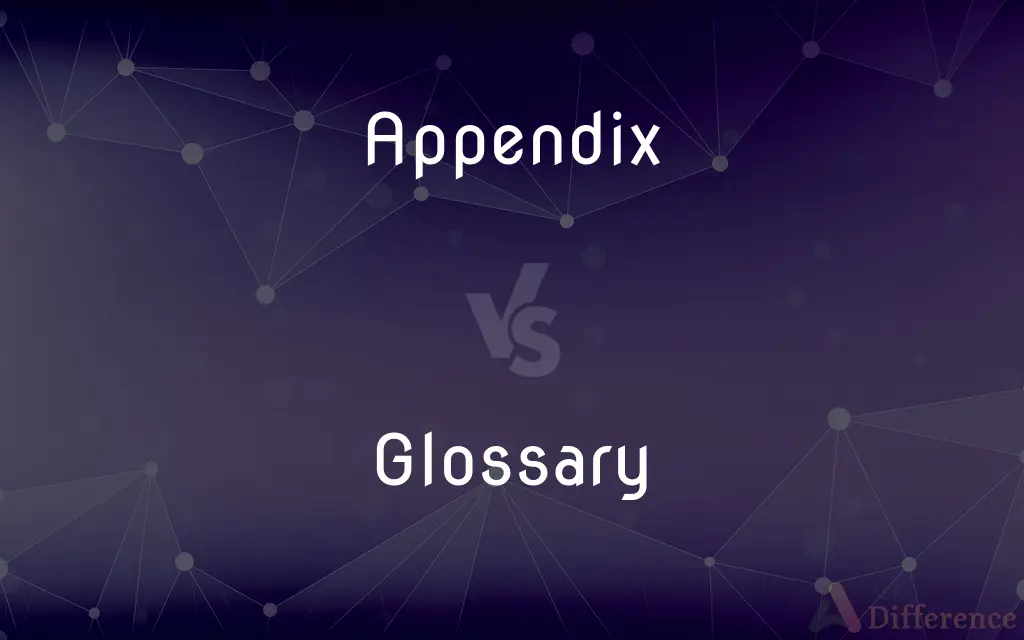 Appendix vs. Glossary — What's the Difference?