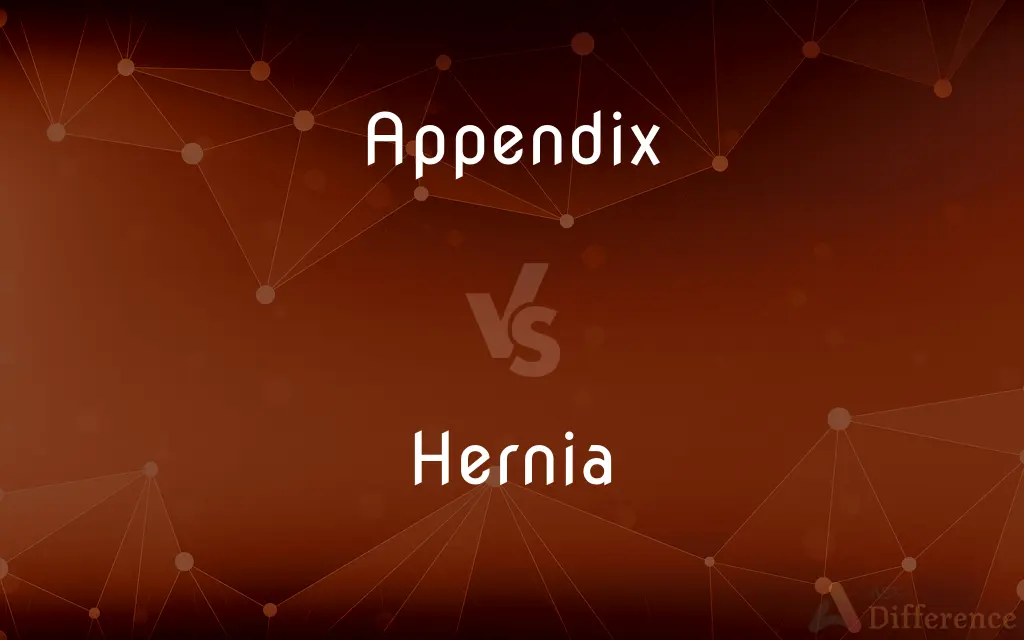 Appendix vs. Hernia — What's the Difference?