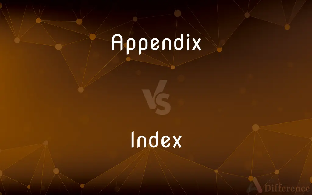 Appendix vs. Index — What's the Difference?