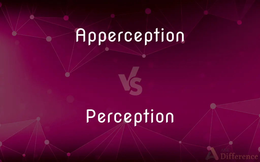 Apperception vs. Perception — What's the Difference?