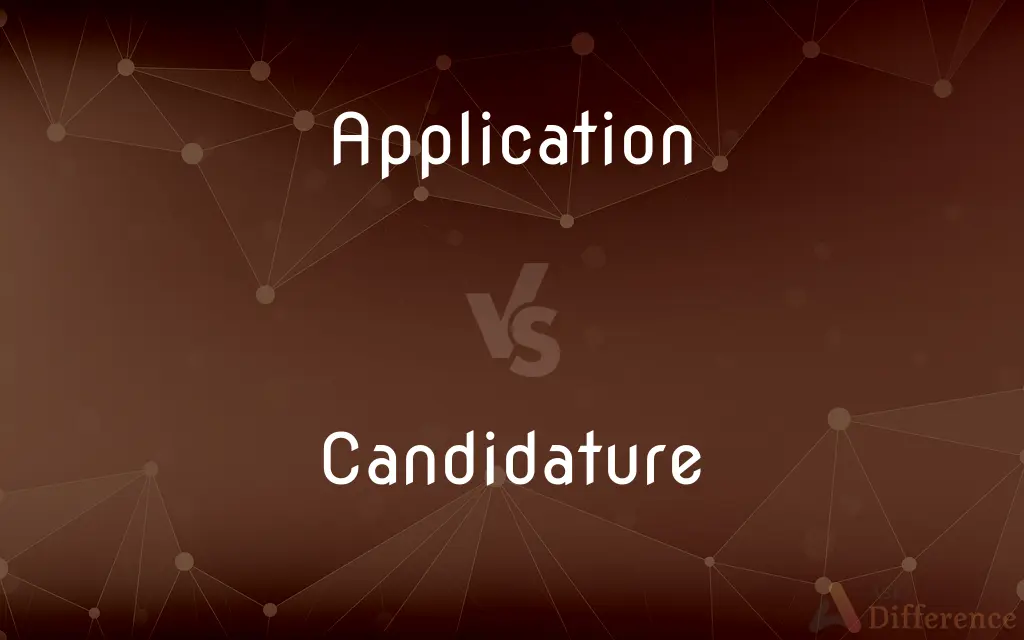 Application vs. Candidature — What's the Difference?