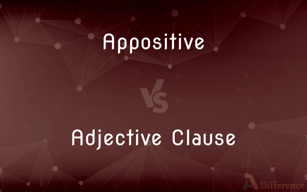 Appositive vs. Adjective Clause — What's the Difference?