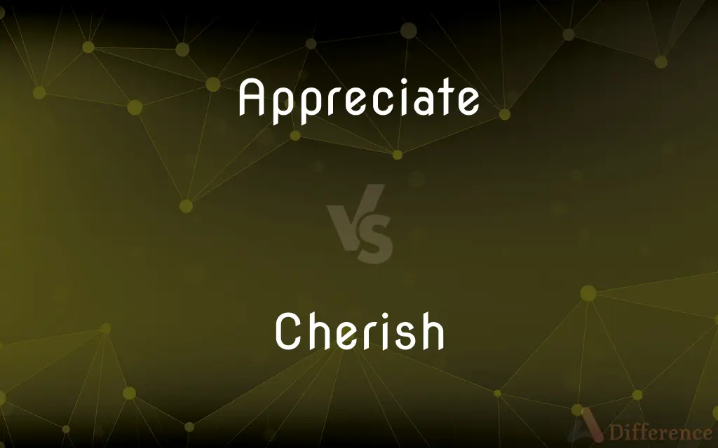 Appreciate vs. Cherish — What's the Difference?